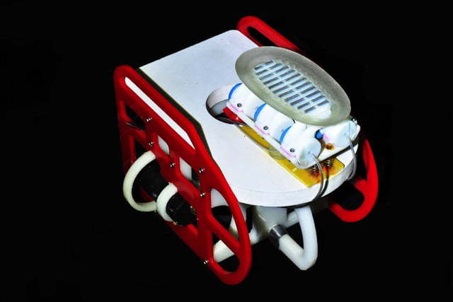 机器人也爱搭便车?水下搭乘鲨鱼列车是它的日常